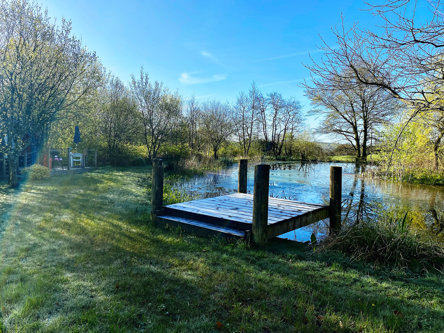 A serene pond surrounded by budding trees with a small wooden dock in the foreground and clear blue skies above.