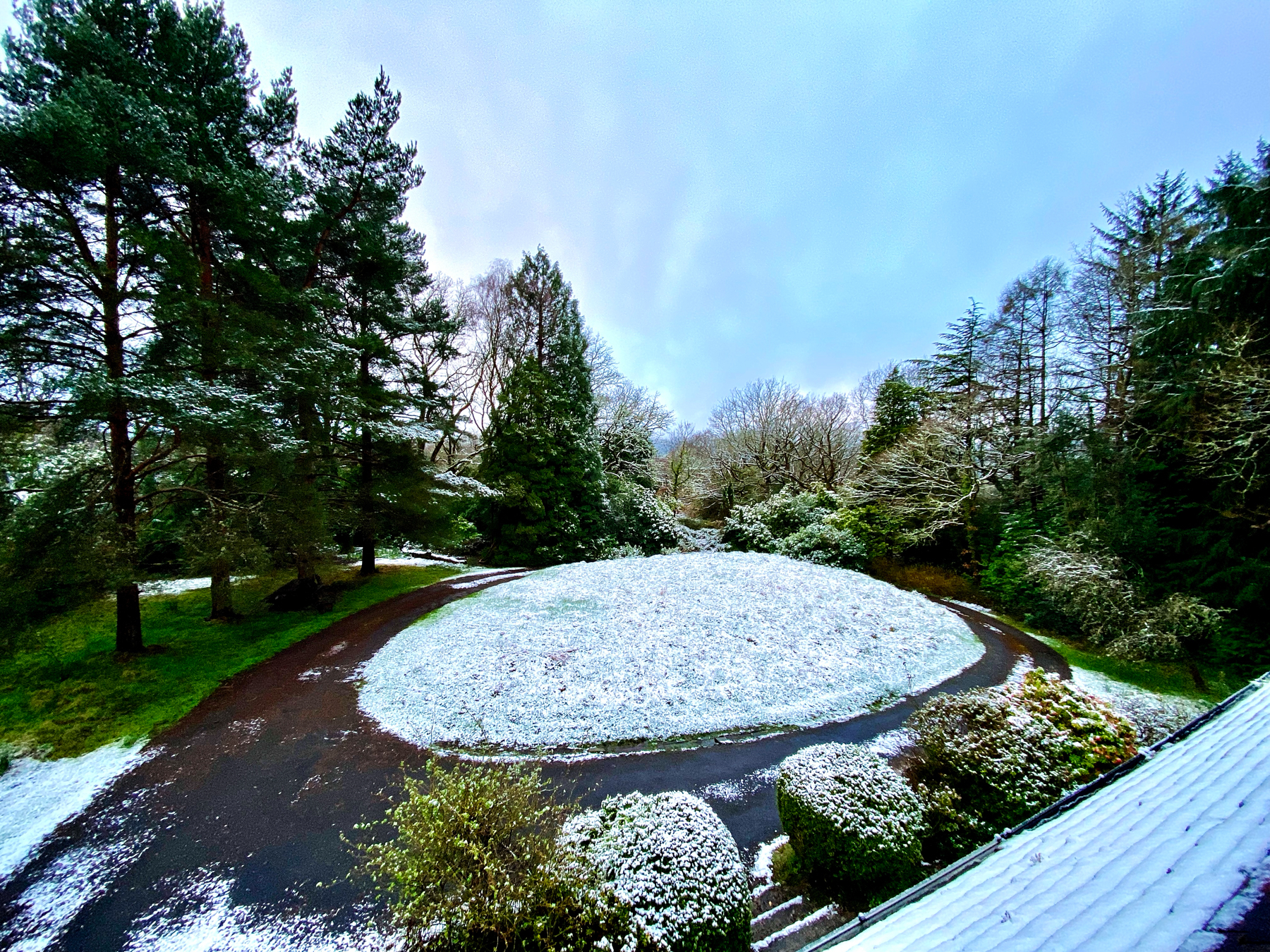 A snowy garden with a winding driveway amongst trees and bushes, a dusting of snow on the ground and rooftops, under a partly cloudy sky.