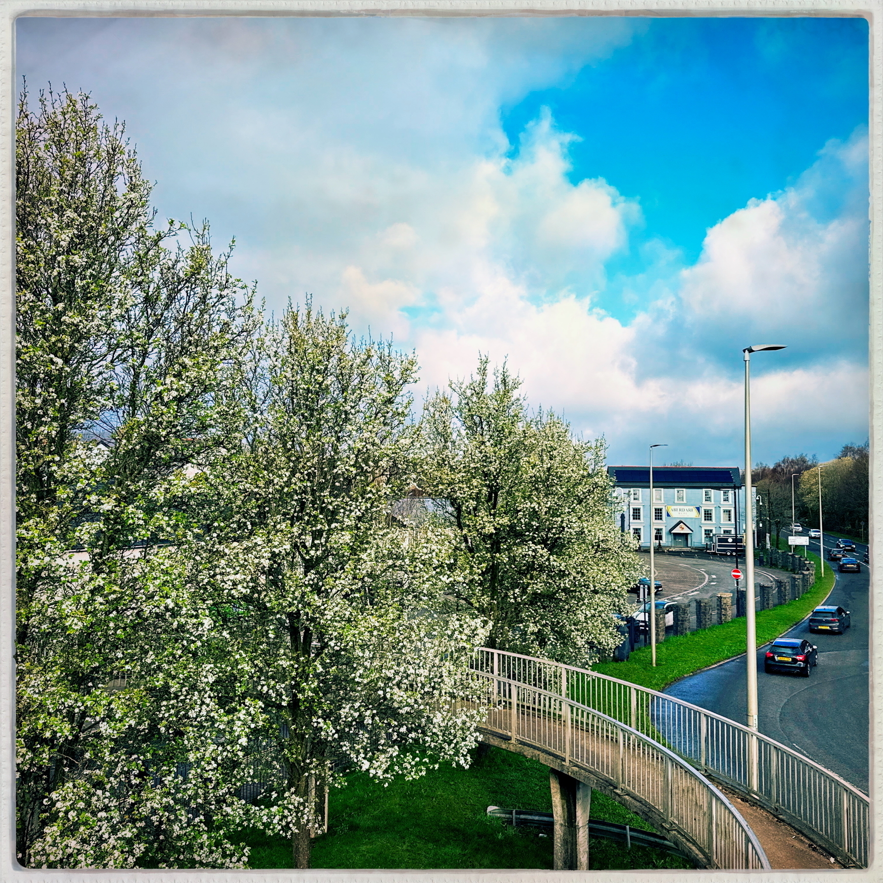 Auto-generated description: A curved pedestrian bridge crosses over a road lined with blooming trees and leads towards buildings under a partly cloudy sky.