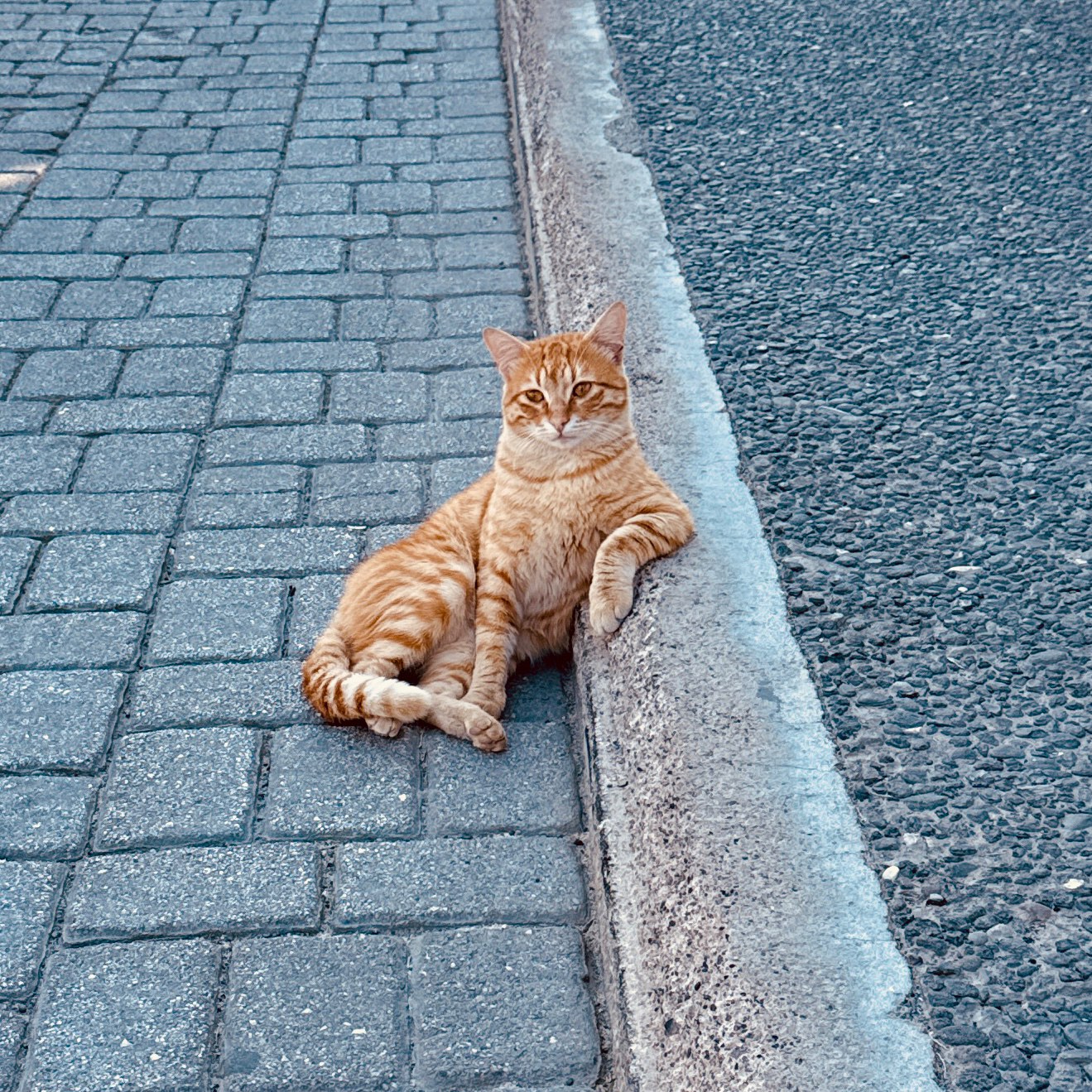 Auto-generated description: A relaxed orange cat is lounging against a curb on a brick sidewalk.