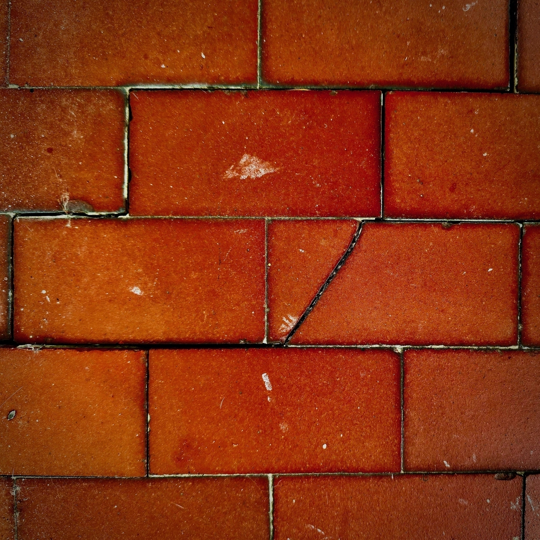 Auto-generated description: Red brick tiles arranged in a rectangular pattern show wear and a crack in one of the tiles.